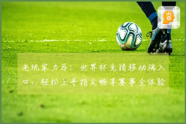 老玩家力荐：世界杯竞猜移动端入口，轻松上手指尖畅享赛事全体验