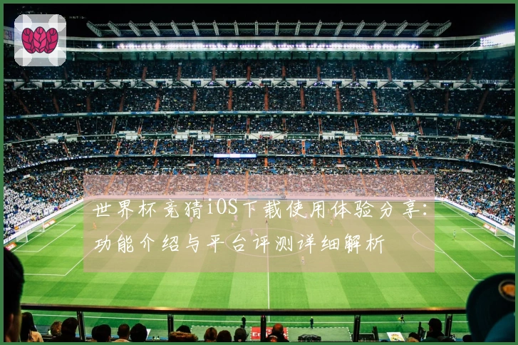 世界杯竞猜iOS下载使用体验分享：功能介绍与平台评测详细解析