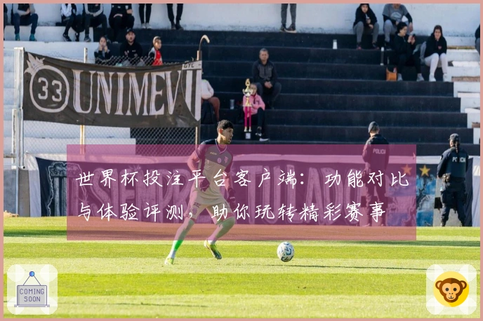 世界杯投注平台客户端：功能对比与体验评测，助你玩转精彩赛事