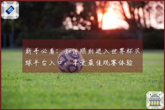 新手必看：如何顺利进入世界杯买球平台入口，享受最佳观赛体验