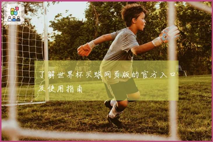 了解世界杯买球网页版的官方入口及使用指南