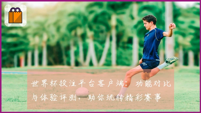 世界杯投注平台客户端：功能对比与体验评测，助你玩转精彩赛事