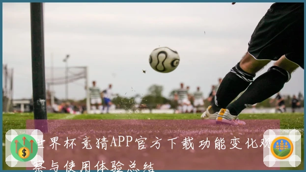 世界杯竞猜APP官方下载功能变化观察与使用体验总结