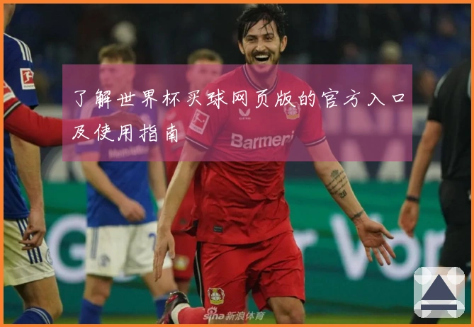 了解世界杯买球网页版的官方入口及使用指南