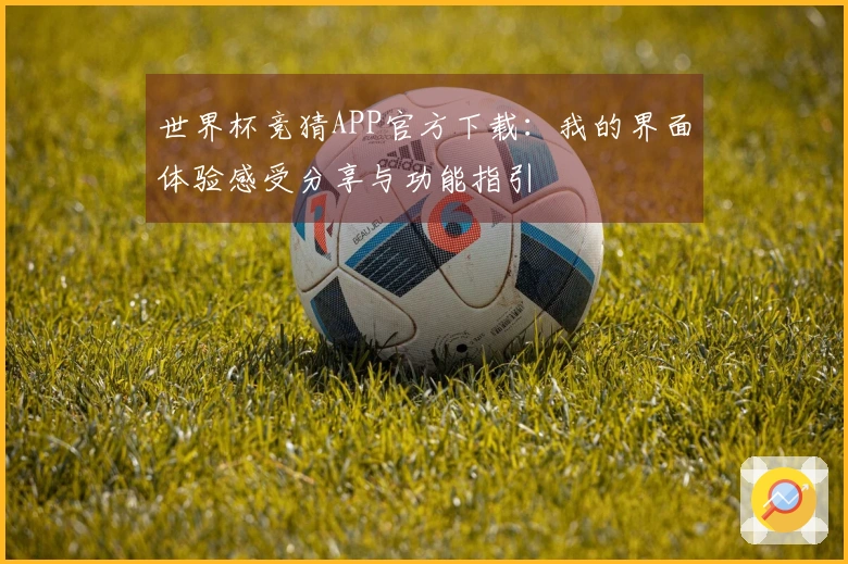 世界杯竞猜APP官方下载：我的界面体验感受分享与功能指引