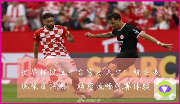 世界杯投注平台官方入口:综合表现深度评测,助您流畅观赛体验