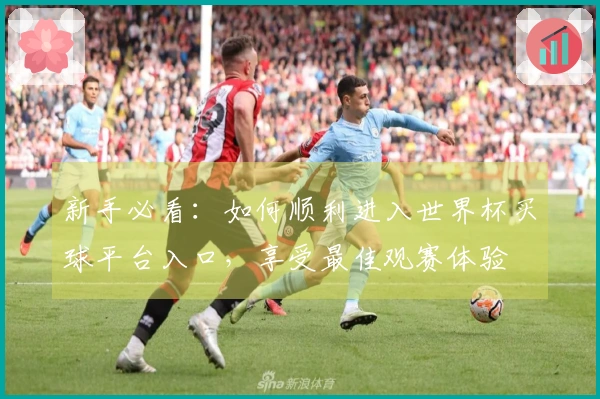新手必看：如何顺利进入世界杯买球平台入口，享受最佳观赛体验